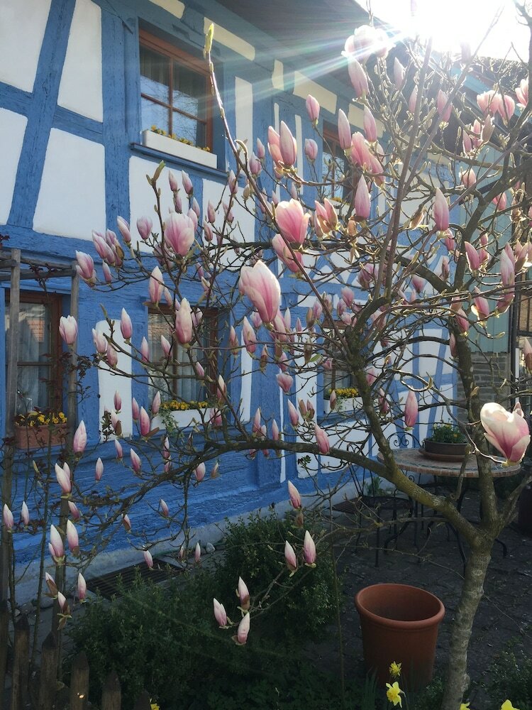 Landhotel Elfenhof