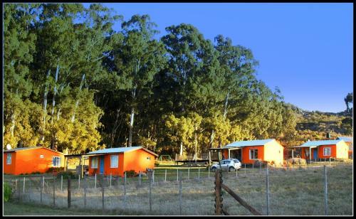 Lodge Caba�as Los Pioneros