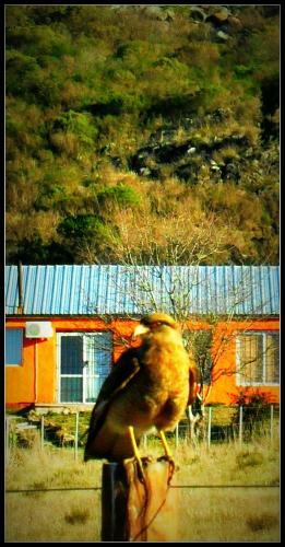 Lodge Caba�as Los Pioneros
