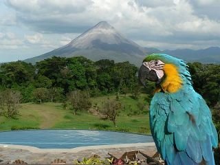 Hotel Arenal Lodge