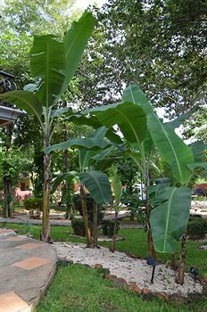Bed & Breakfast Casas Del Toro Playa Flamingo