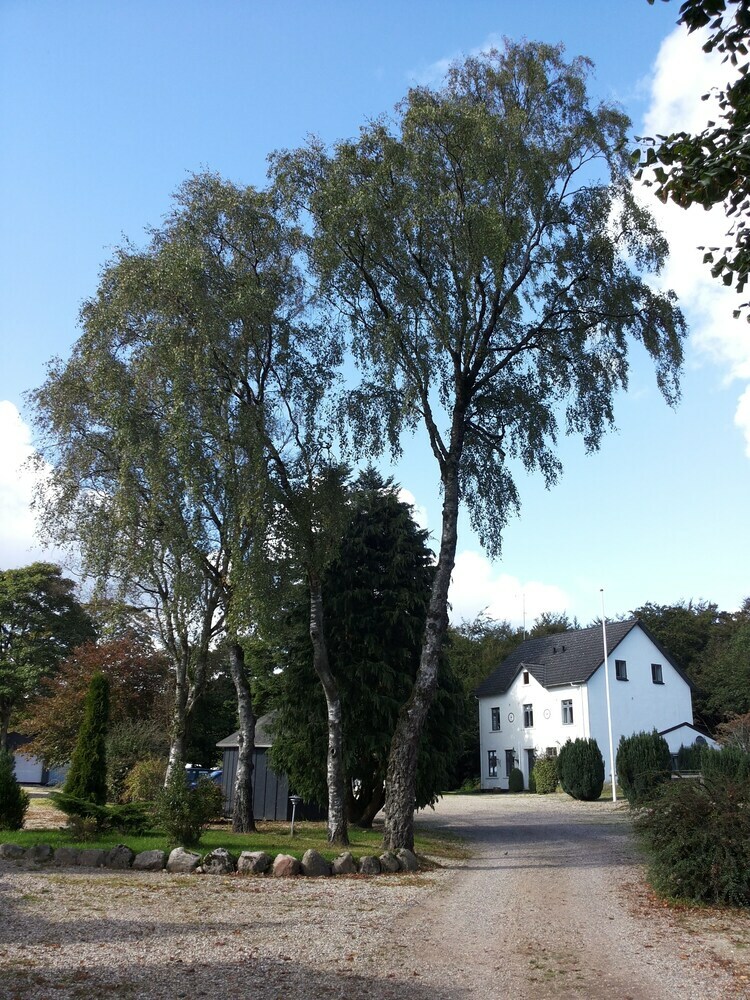 Hostal Velling Koller Hostel