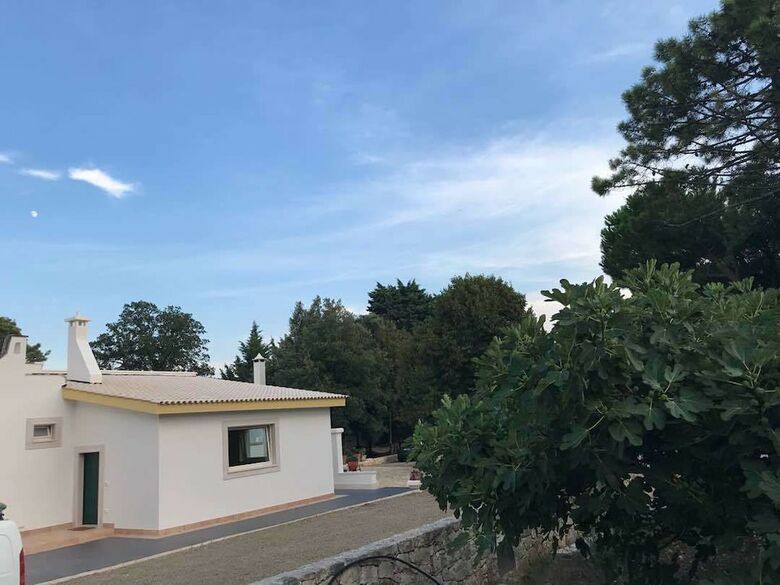 B&B Trulli E Mare