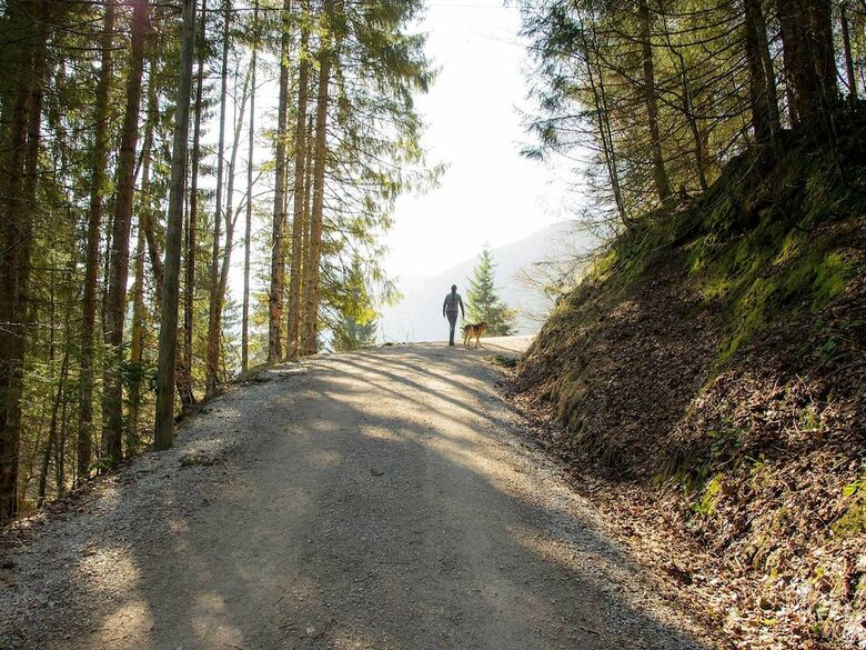 Pension Haus Wildbach