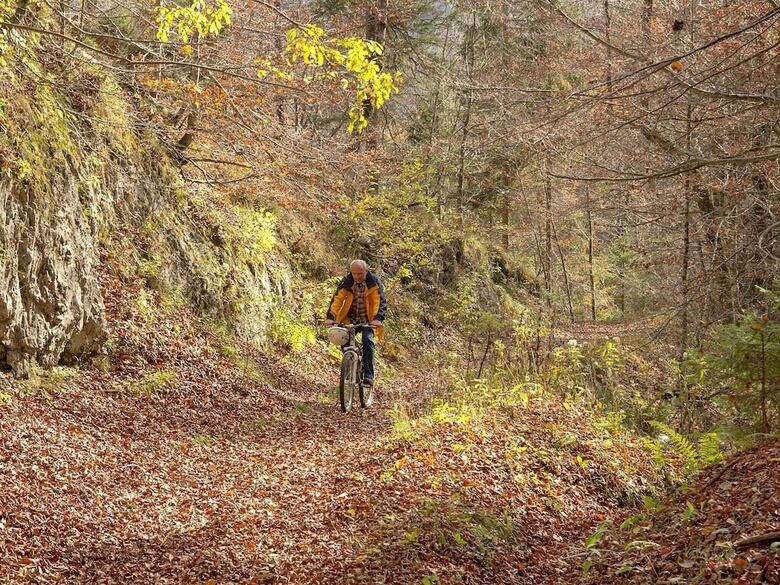 Pension Haus Wildbach
