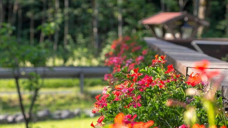 Pension Haus Wildbach