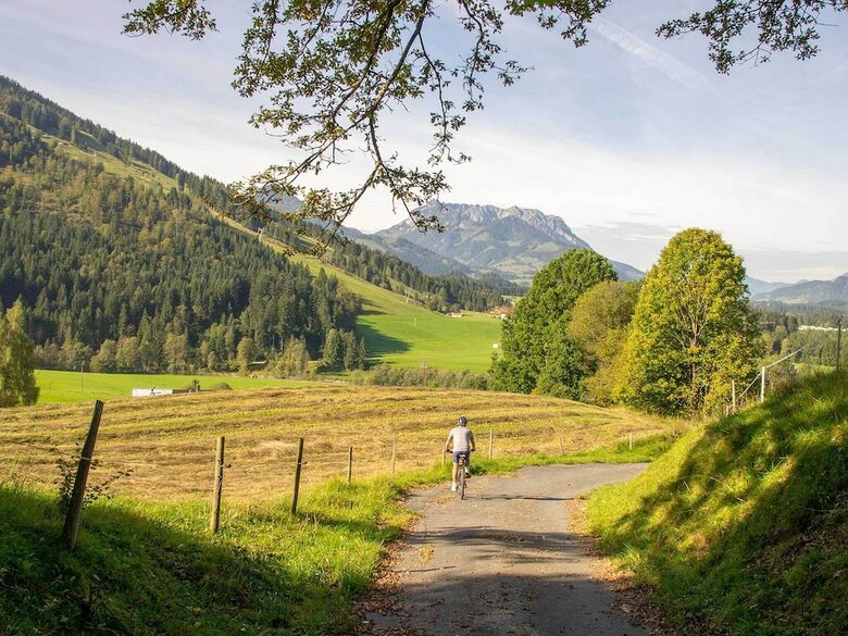 Pension Haus Wildbach