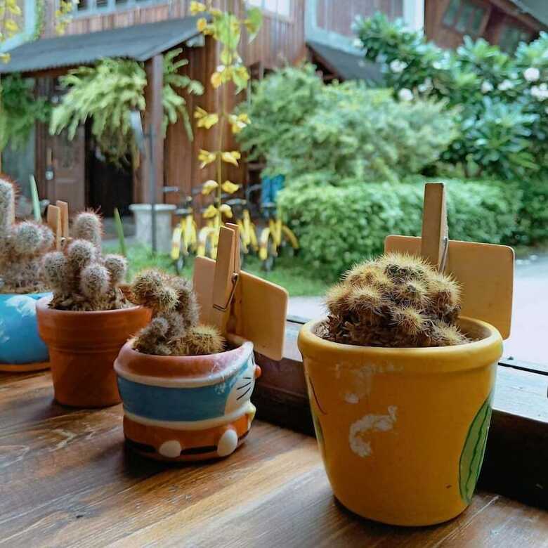 Hostal Past Tense Hostel