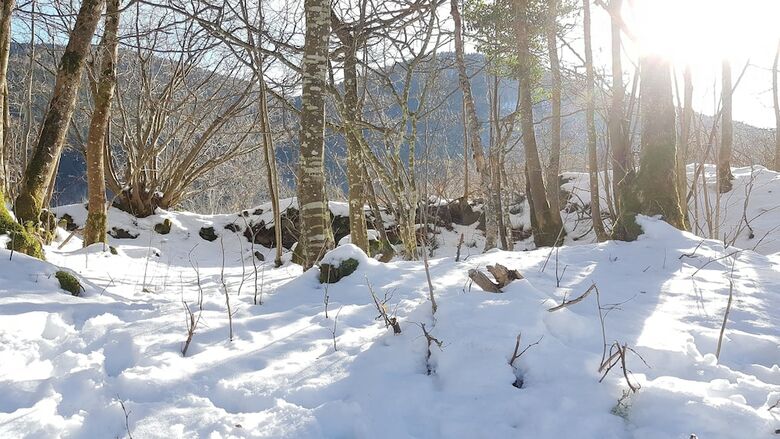Naturezenkota