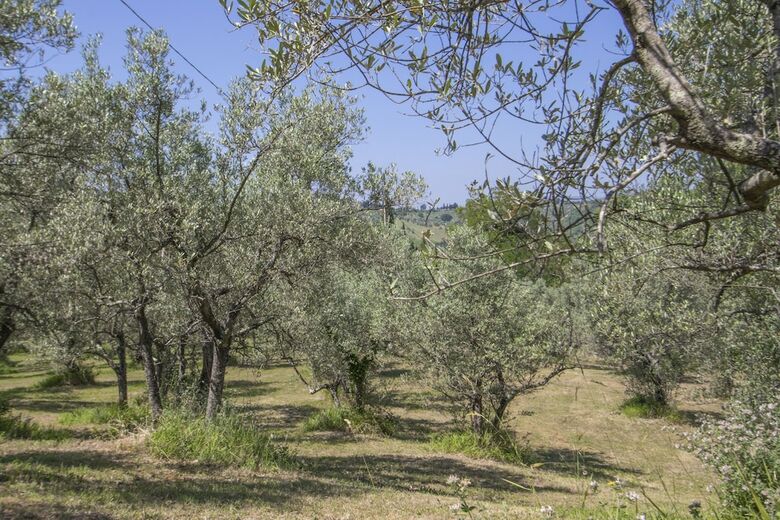 Agroturismo Agriturismo Filettro