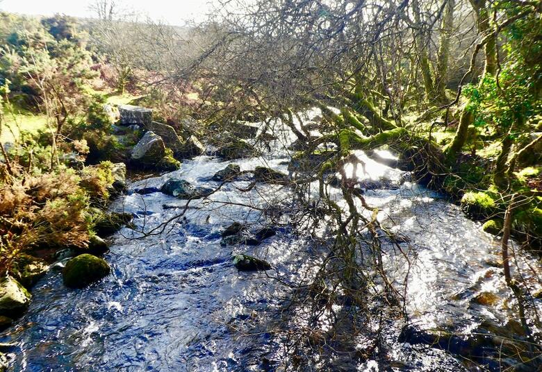 Dartmoor House B&B