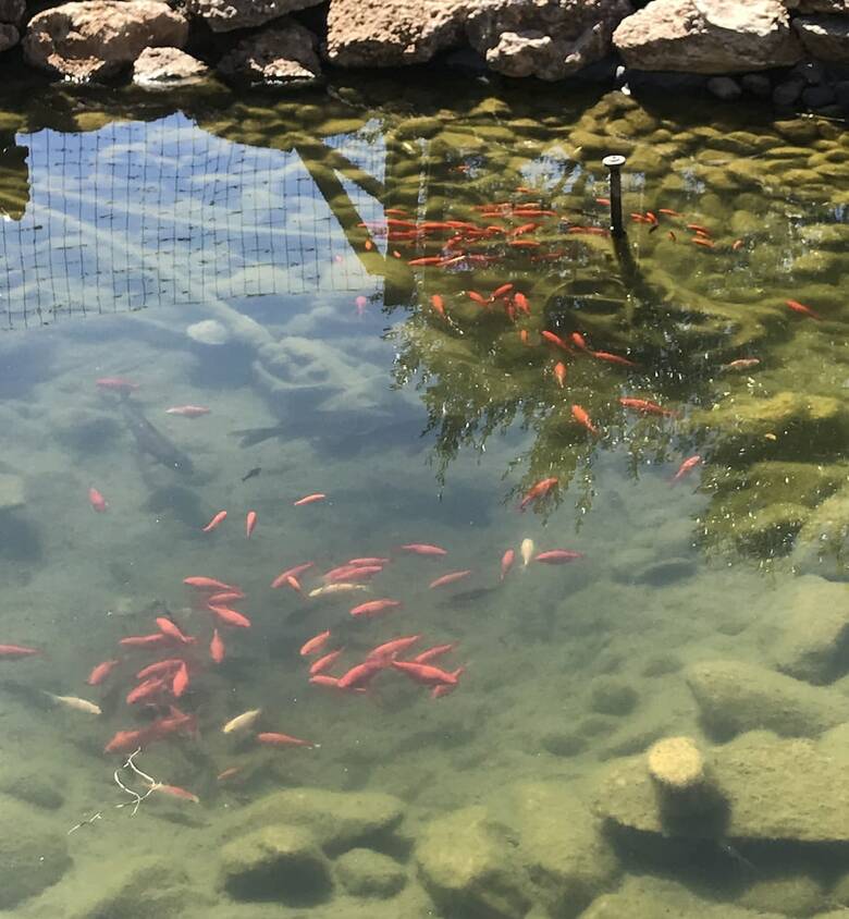 Agroturismo Cortijo Bustamante