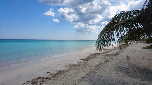 Hotel Almaplena Eco Beach Resort