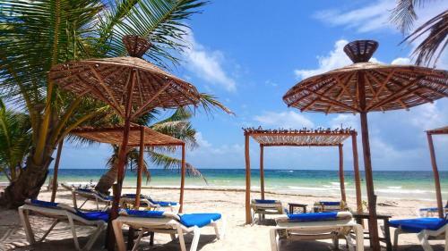 Hotel Almaplena Eco Beach Resort