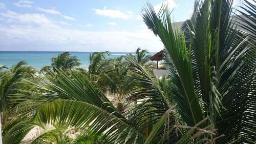Hotel Almaplena Eco Beach Resort