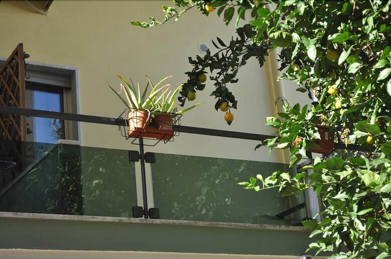Apartamento Green House Studio