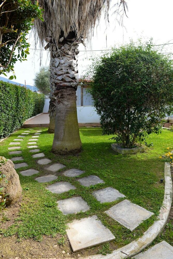 Apartamentos Patras Palm Tree