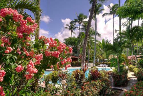 Hotel Palococo
