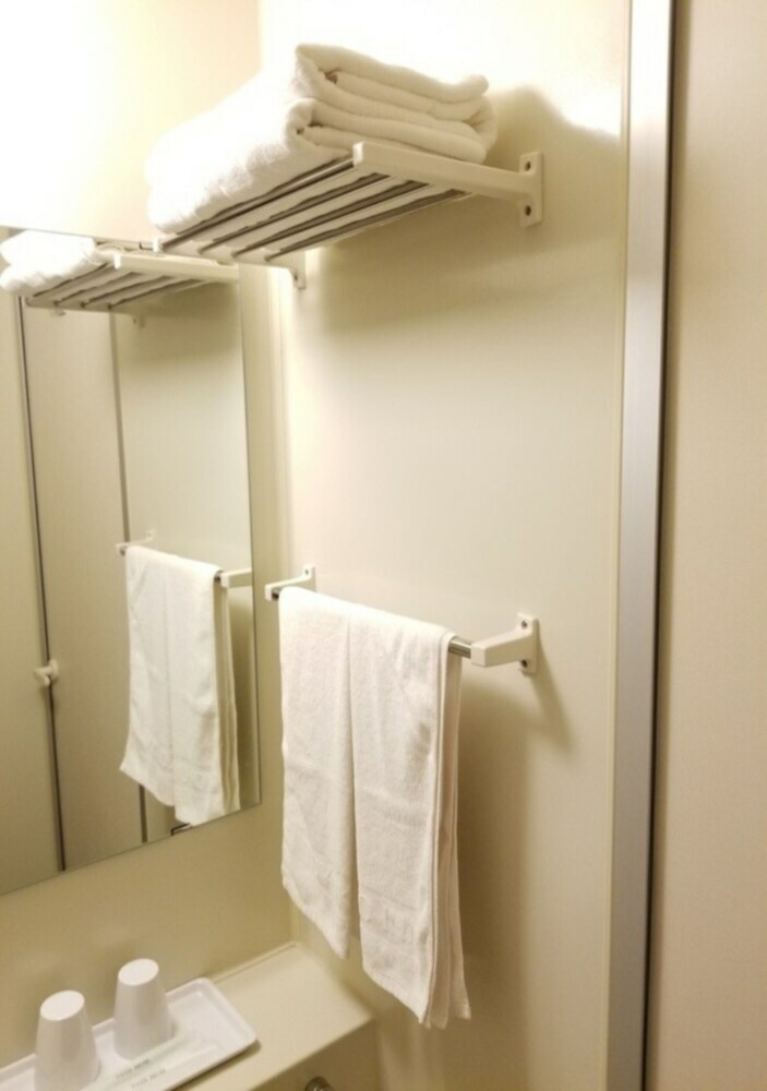 Hotel Toyoko Inn Ebina-eki Higashi-guchi