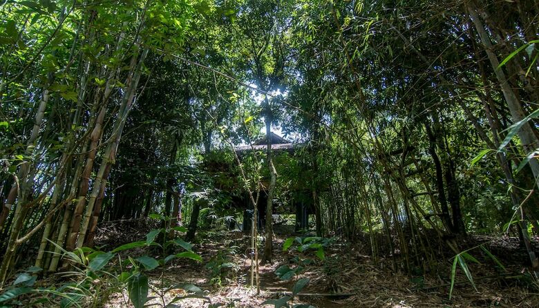 Bed & Breakfast Uravu Bamboo Grove