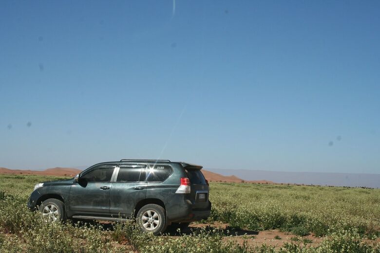 Zagora Desert Camp