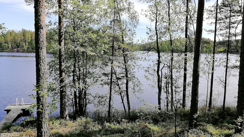 Villa Salkolahti Minttu