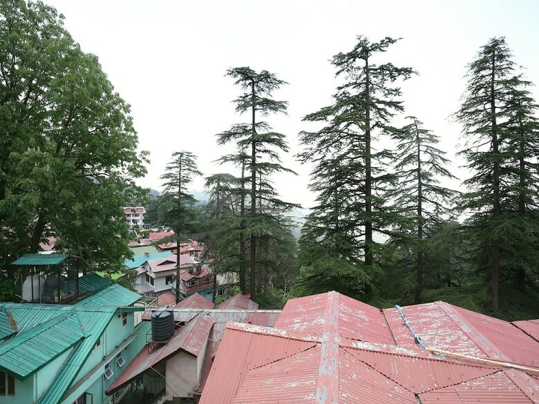 Apartamentos Oyo Home 13665 Hill View 2bhk