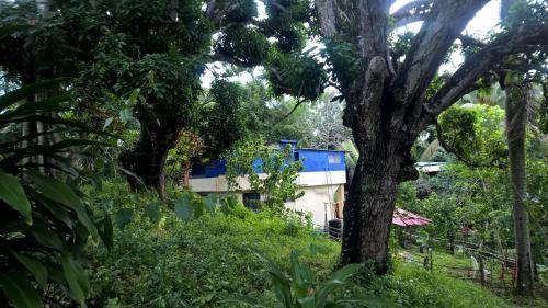 Bed & Breakfast Real Dominican Republic Discovery