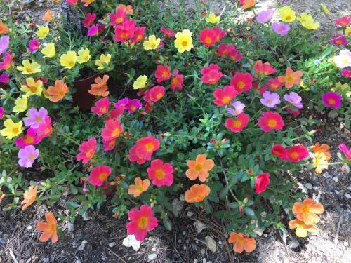 Bed & Breakfast Finca El Otero