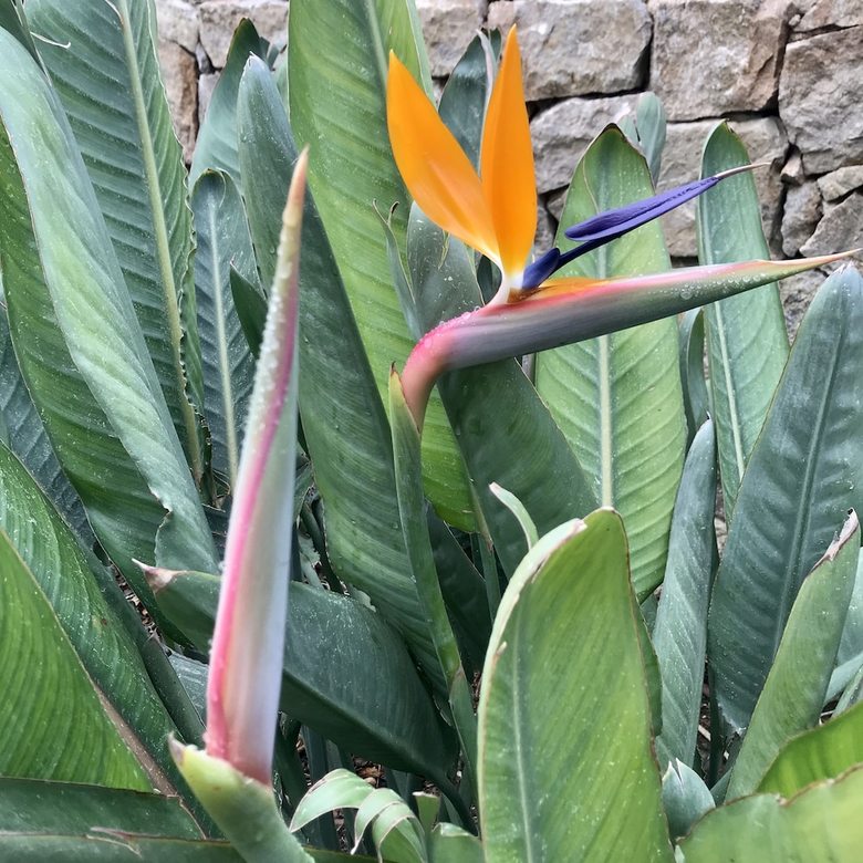 Bed & Breakfast Finca El Otero