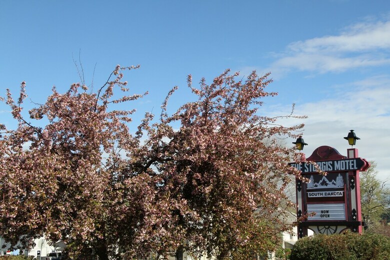 The Sturgis Motel