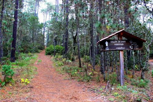 Lodge Centro Ecotur�stico Caba�as Llano Grande
