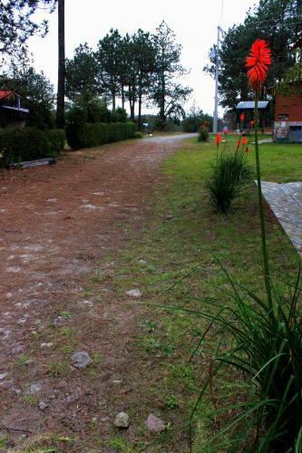 Lodge Centro Ecotur�stico Caba�as Llano Grande