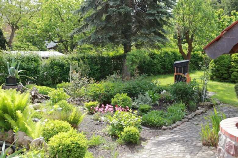 Pension Luisenstube