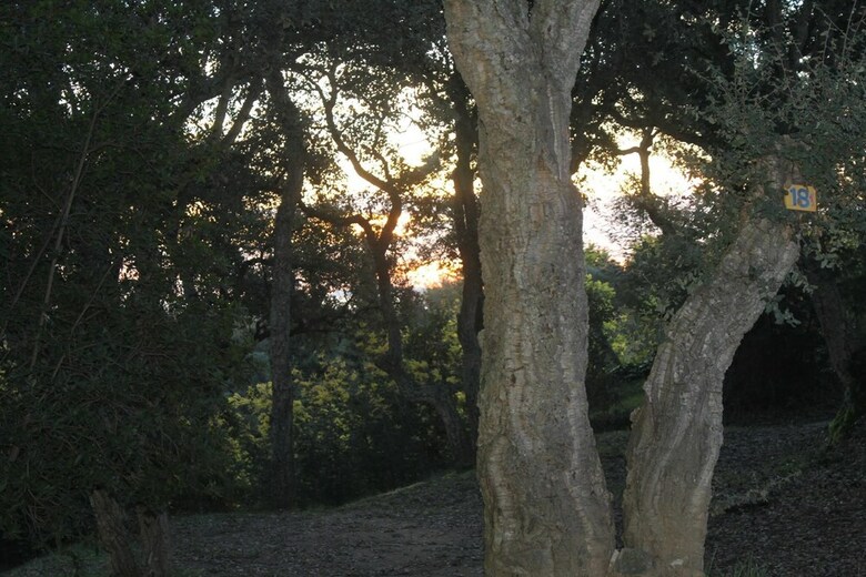 Camping Le Plateau Des Chasses