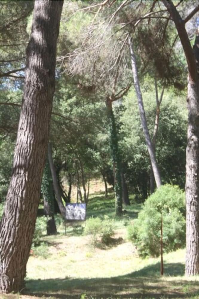 Camping Le Plateau Des Chasses