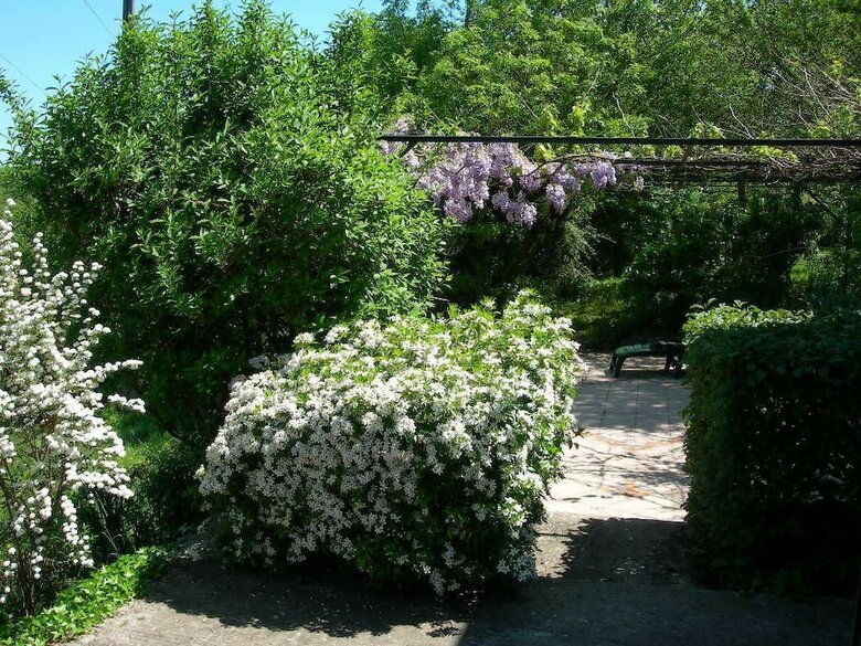 Suite Familiale, 3 Chambres - Belle Long�re