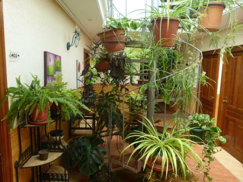 Hotel Paqui