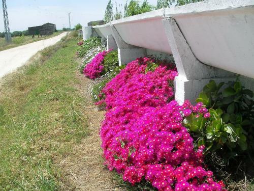 Hostal La Posada H�pica
