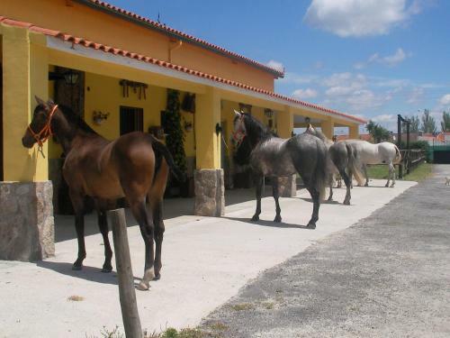 Hostal La Posada H�pica