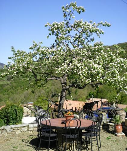 Hostal Molin�