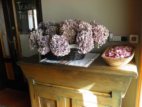 Logis Hostal Rural Txapi Txuri