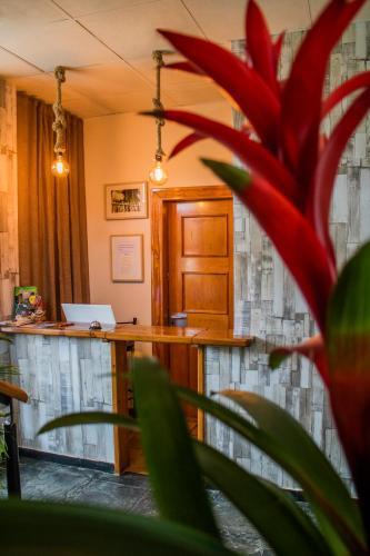 Hotel Monta�as De Covadonga