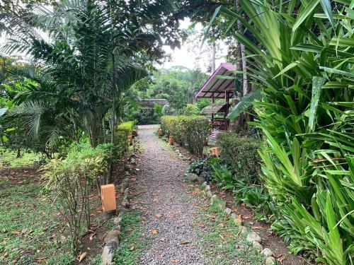 Posada Luna Caribe�a Village