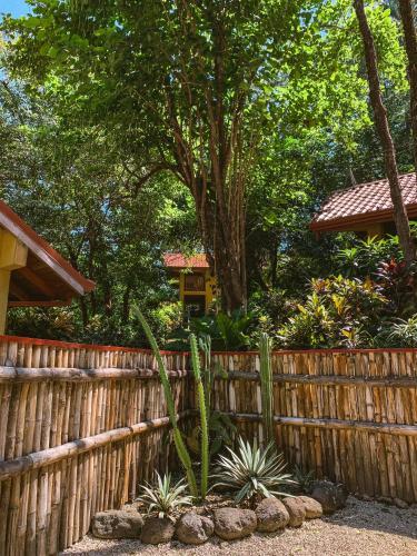 Apartamento Hotel Samara Para�so