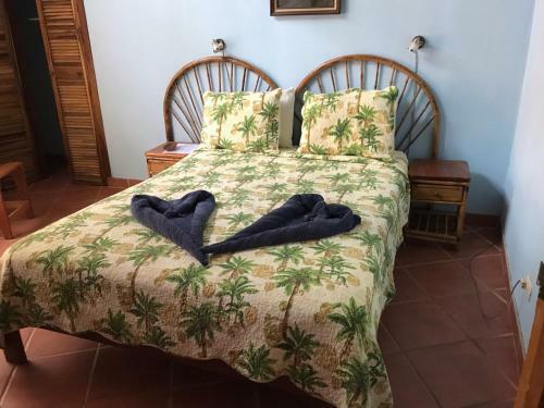 Hostal Fenix Hotel - On The Beach