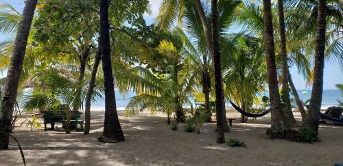 Hostal Fenix Hotel - On The Beach