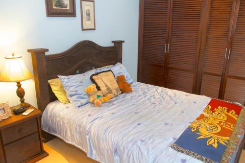 Villa Cabo Velas Estates