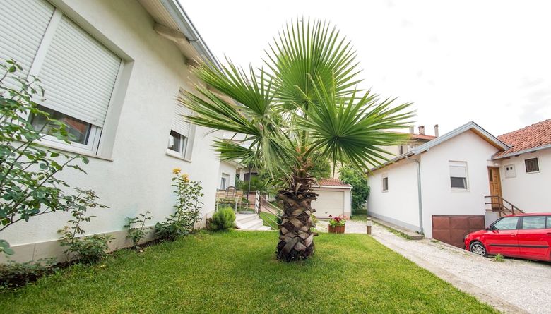 Apartments Tulipan