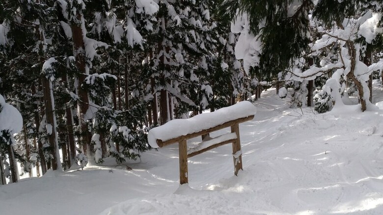 Bed & Breakfast Nozawa Dream Central